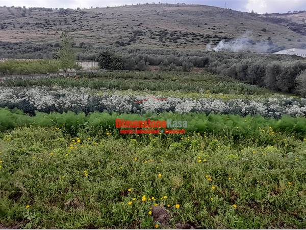 Terreno Agricolo