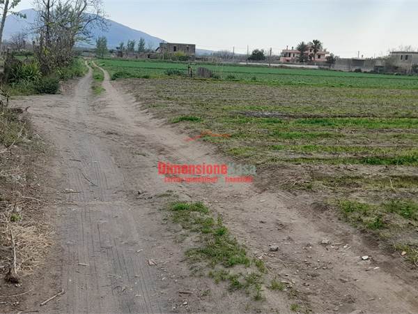 Terreno agricolo