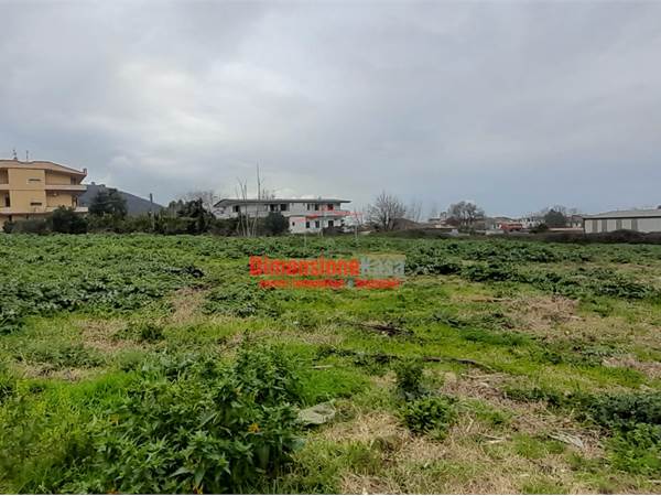 Terreno Edificabile