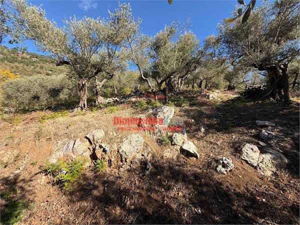 Terreno agricolo in vendita a Roccarainola