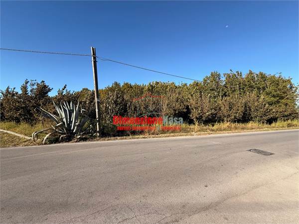 Terreno agricolo in vendita a Cimitile