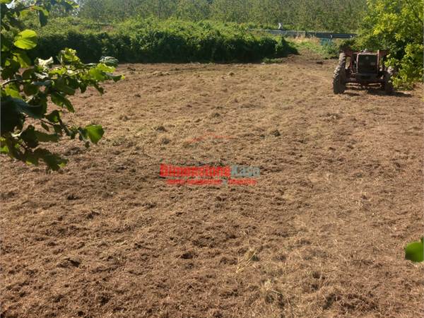 Terreno in Vendita